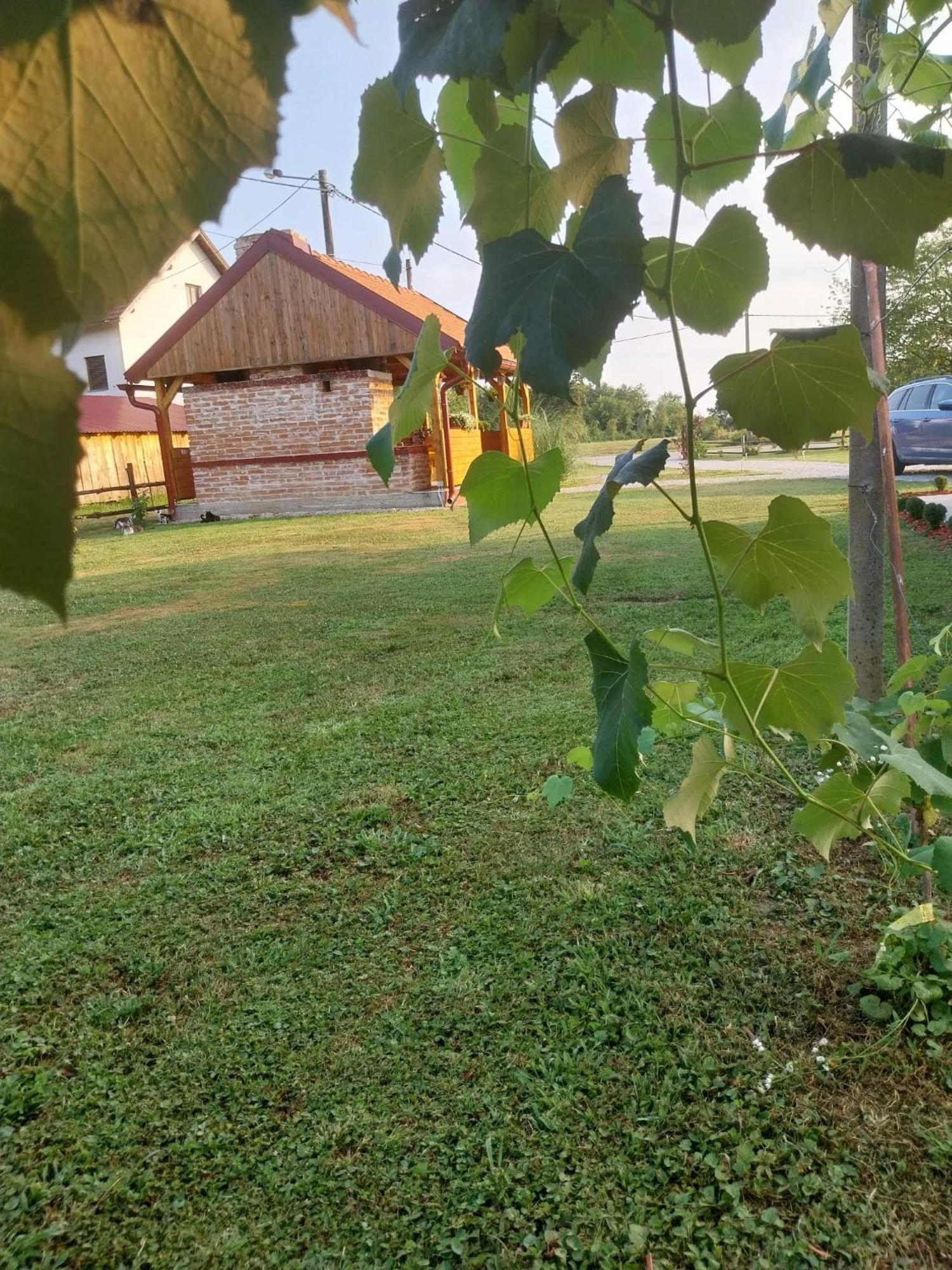 TopuskoKuca Za Odmor Jopi I Mare别墅 外观 照片